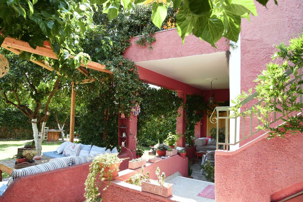 Zacharoulas Katikies Amarynthos Eksteriør bilde